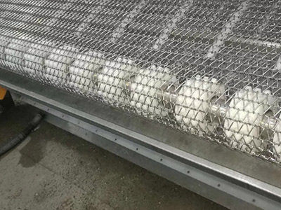 Pignon pour bandes transporteuses à spirale équilibrée